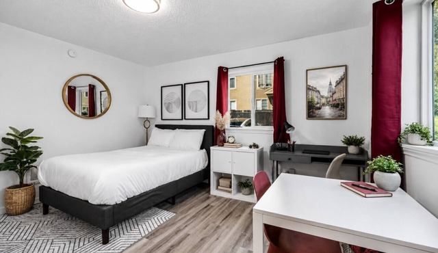 Remodeled Studio in Heart of DT Tacoma - 3