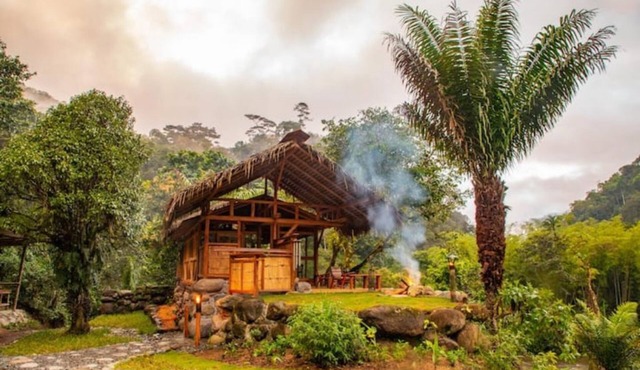 Remote Luxurious Riverside Jungle Retreat/Farmstay