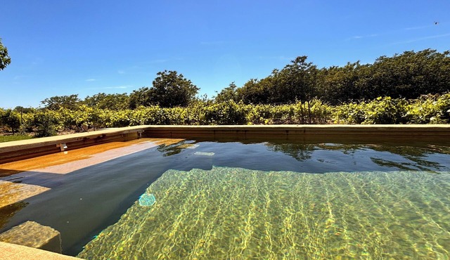Renovated Mas at the Foot of Ventoux 10/12 People With Swimming Pool