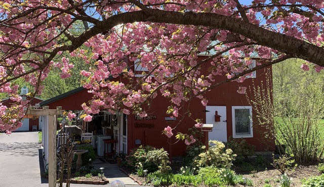Renovated 1920's Barn Cottage. Pets welcome. No cleaning fees.