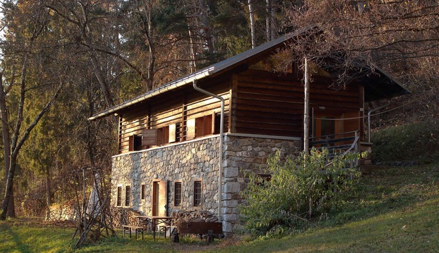 Renovated in 2006, charming holiday home by the woods