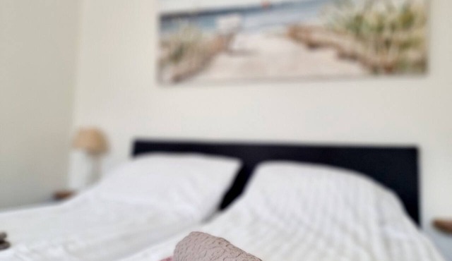 Renovated Studio, situated next to the dunes. Nearby beach and sea!