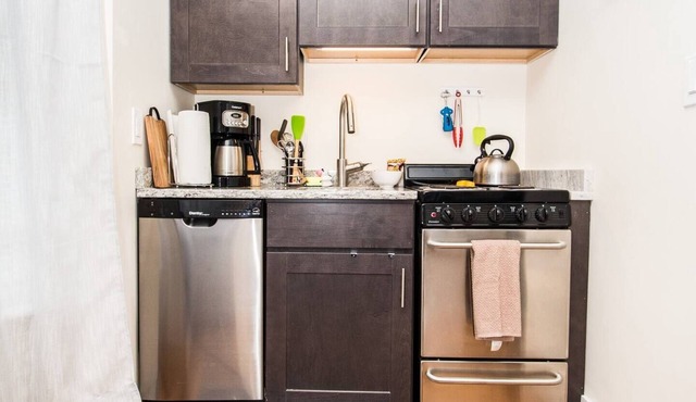 Renovated, Sunny, Spacious Studio in Boston