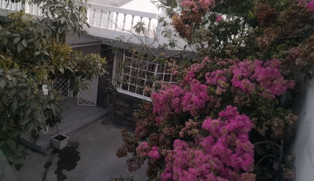 Rent secure apartment, since it has 24 hour security