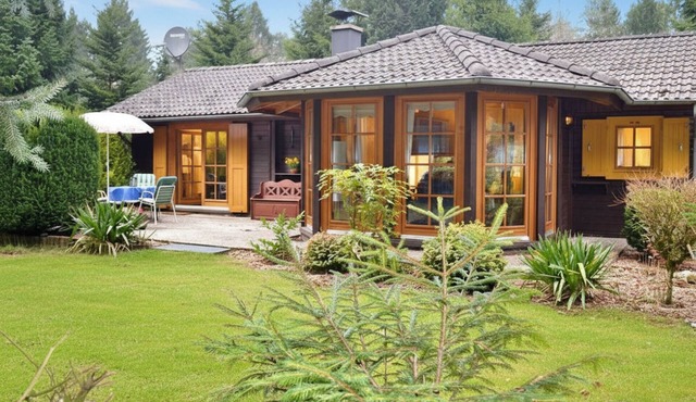 Rest and relaxation in the forest - All Inclusive -