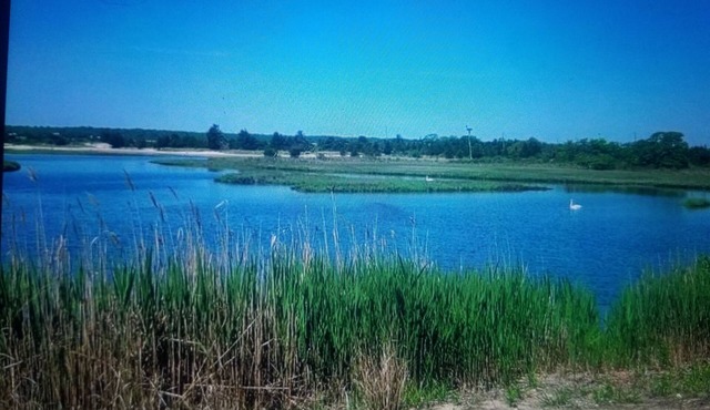 Rex- East Hampton Cottage- 5 stars