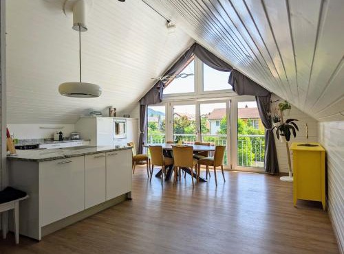 Rhein Apartments - Loft