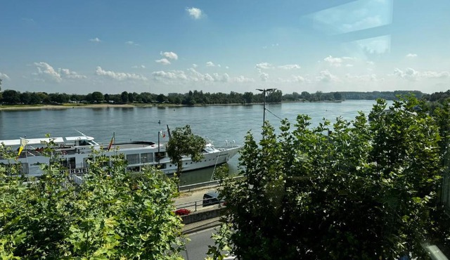 Rhein-Hotel Nierstein