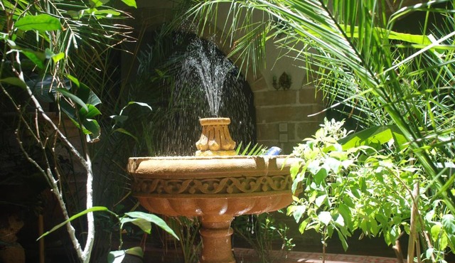 Riad Arambys