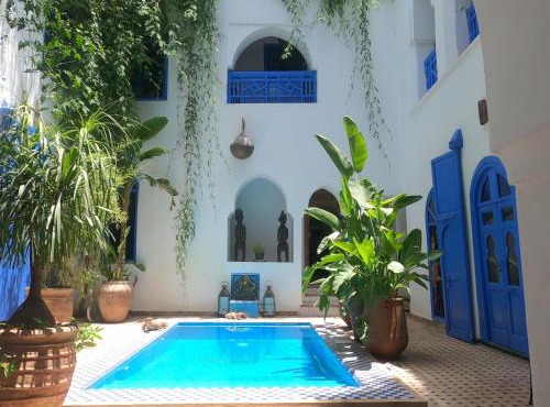 Riad Chameleon