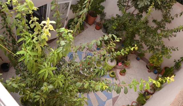 Riad Git El Menzeh une maison d'hôte spectaculaire et confortable