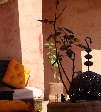 Riad Menthe Et Citron