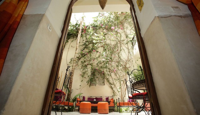 Riad White Flowers