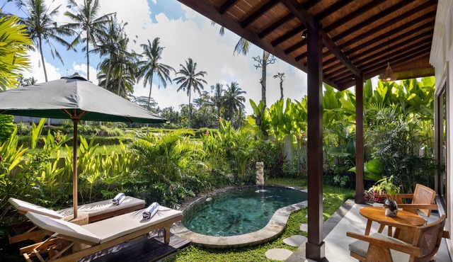 Rice Field View Private Pool Villa in Ubud