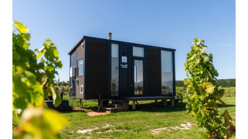 Riesling Cabin by Tiny Away
