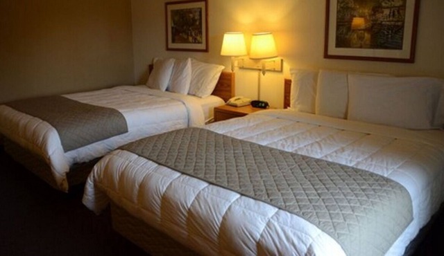 Right on Budget! 2 Budget-friendly Units, Free Breakfast, Near Marieke Gouda!