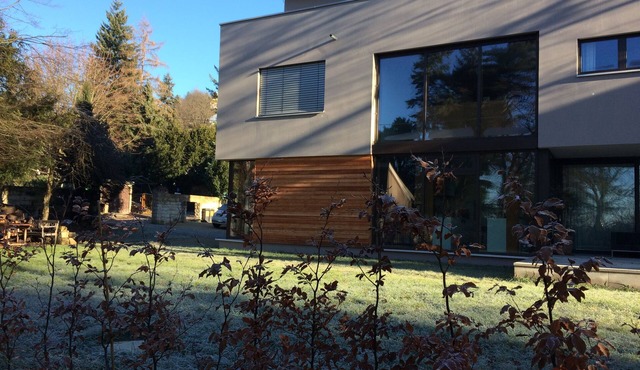 Right on Elberadweg - cozy vacation apartment in Dresden Loschwitz