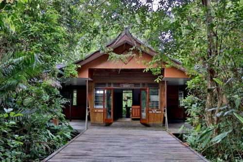Rimba Orangutan Ecolodge
