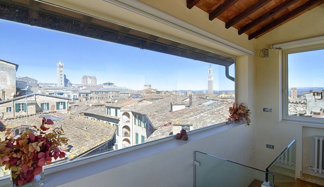 Rinidia Siena Centro