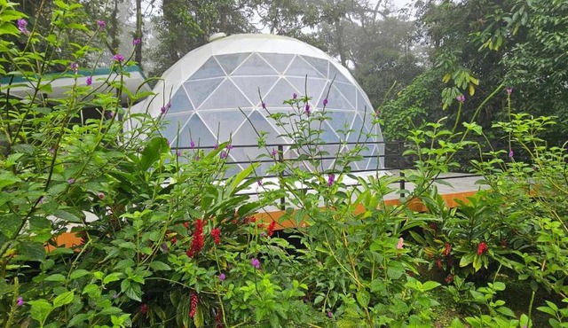 Rio Celeste Jungle Glamping