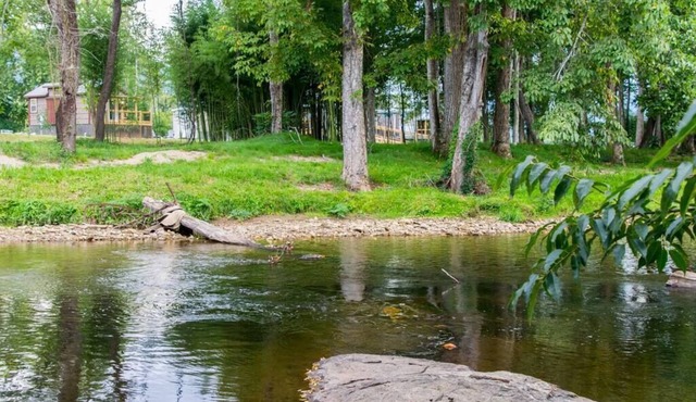 River Front King Bed Cottage #5