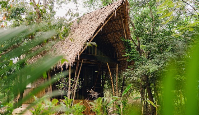 River Nest Hostel