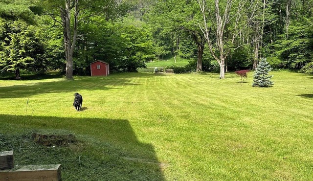 Riverfront Cabin Retreat on the Delaware, 5 mins from Narrowsburg, 2hrs from NYC