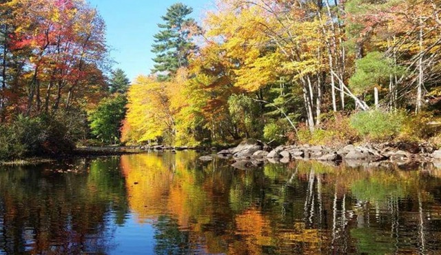 Rivers Edge: Modern, Huge Riverfront & Yard, Kayaks - Dog OK, Grill, Fast WiFi