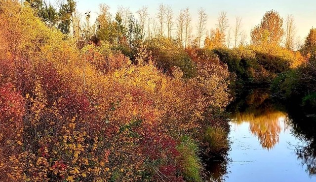 Riverside Acres