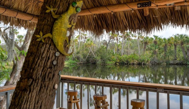 Riverside Breeze Tropical Retreat w Tiki Hut&BBQ