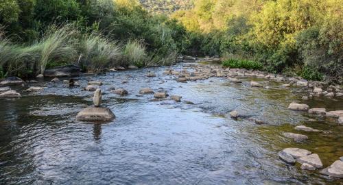 RiverStill Guest Farm