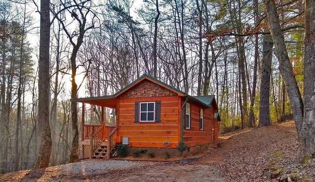 Robin Cabin - Big Bear Cabin Rentals 2 Bedroom/1 Bath Vacation Rental