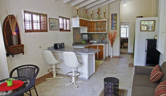 Robin's Nest - Great Value! St. James Apt. on West Coast