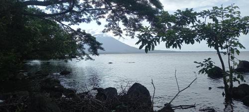 Rocks Beach