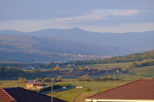 Rolling Hills Holiday Haven