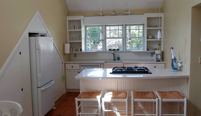 Romantic 1-Bdrm on Lake Dunmore, Views, Linens, Beach, Marina, Pub, Sleeps 4