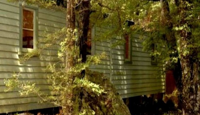 Romantic Accommodation with Shared Facilities on the Waiau River, New Zealand