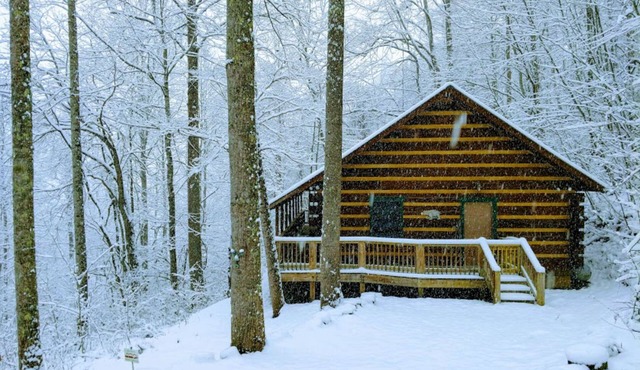 Romantic And Secluded Mountainside Cabin Overlooking The Nantahala Gorge.