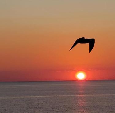 Romantic Beachfront Sunsets