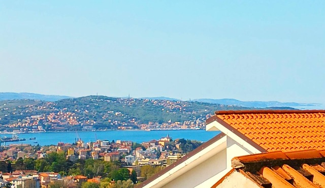 Romantic Eco-Lodge in the Heart of Trieste