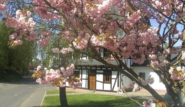 Romantic half-timbered house between the Rhine and Moselle