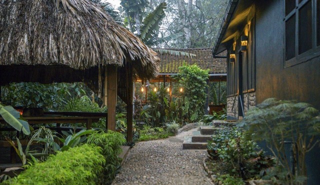 Romantic Jungle Suite w/Lush Tropical Views, Private Bath, and Air Conditioning