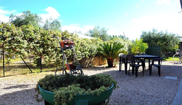 Romantic mini apartment nestled in the green Castelli Romani.