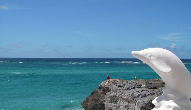 Romantic Oceanfront Villa near Crane Resort Lovebirds Special