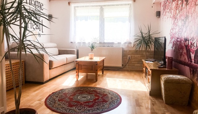 Romantic Studio in the heart of Transylvania