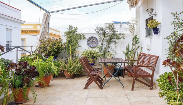 Rooftop apartment with magnificent terrace in the historical center