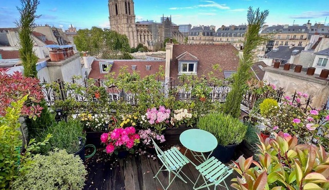 Rooftop Triplex with AC - Garden at Notre Dame