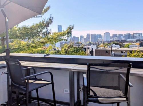 Rooftop with Skyline and Space Needle Views, AC, World Soccer Match 15min to Stadium