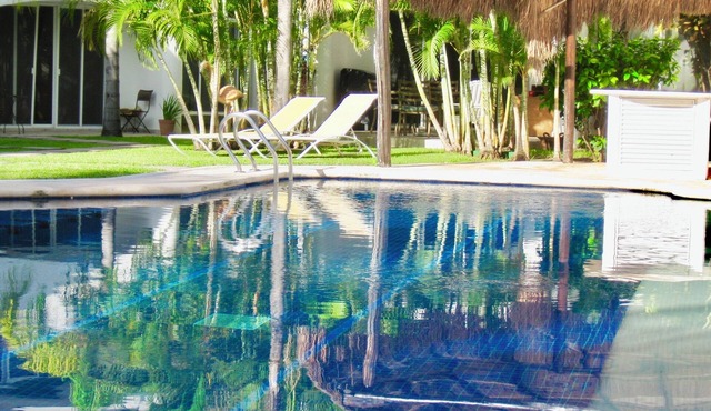 Room-executive Comfort Room With Swimmin