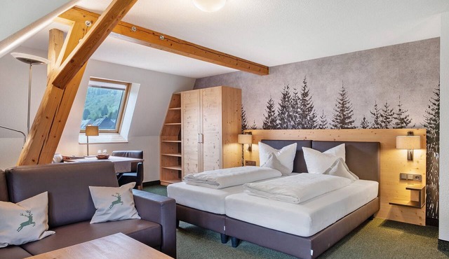 Room 'Grosses Zimmer' with Mountain View, Shared Terrace and Wi-Fi